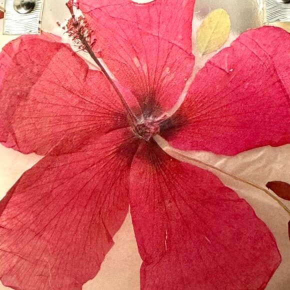 Clear Plastic - Hand Bag w Silver Plastic Handles / FREE GIFT - - Picture 2 of 14